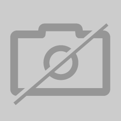 2023-2024 TORCH II Certification (Undergraduates Only!)